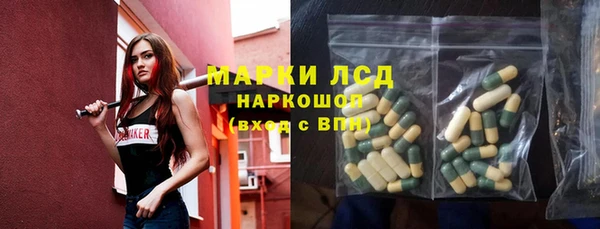 гашик Алексин