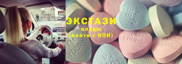 гашик Алексин