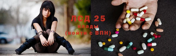 гашик Алексин