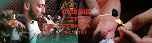 гашик Алексин