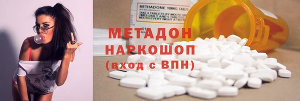 гашик Алексин
