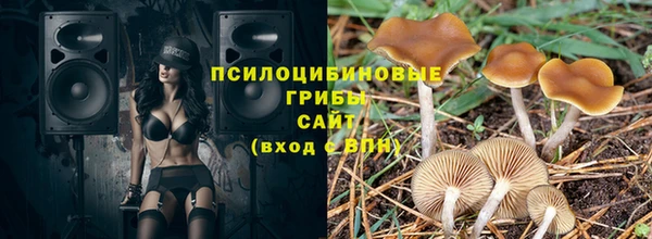 a pvp Алзамай