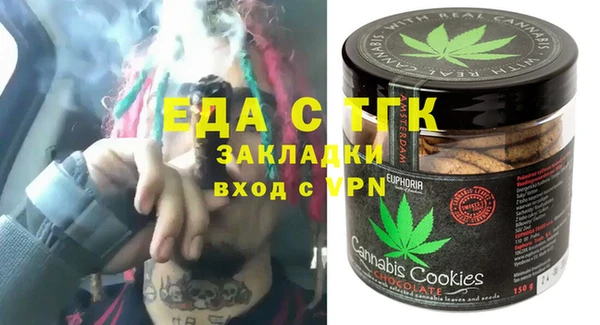 гашик Алексин
