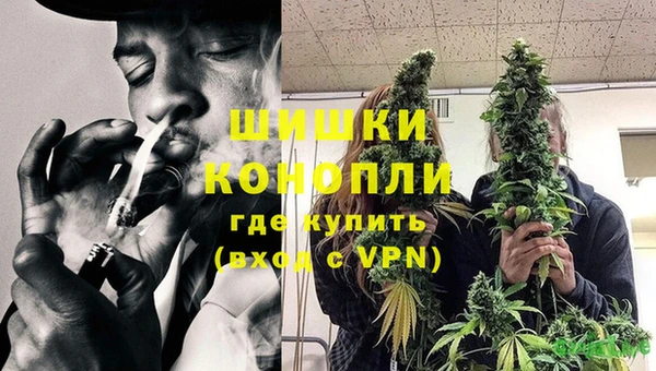ГАЛЛЮЦИНОГЕННЫЕ ГРИБЫ Михайловск