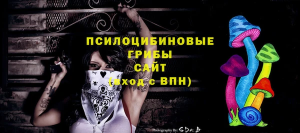 гашик Алексин