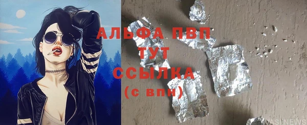гашик Алексин