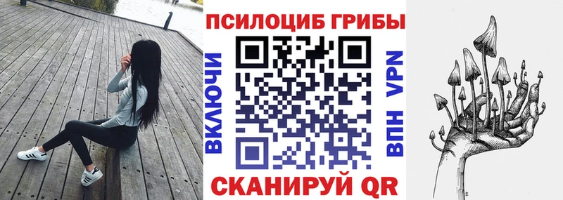 даркнет сайт  Тулун  Галлюциногенные грибы Cubensis 