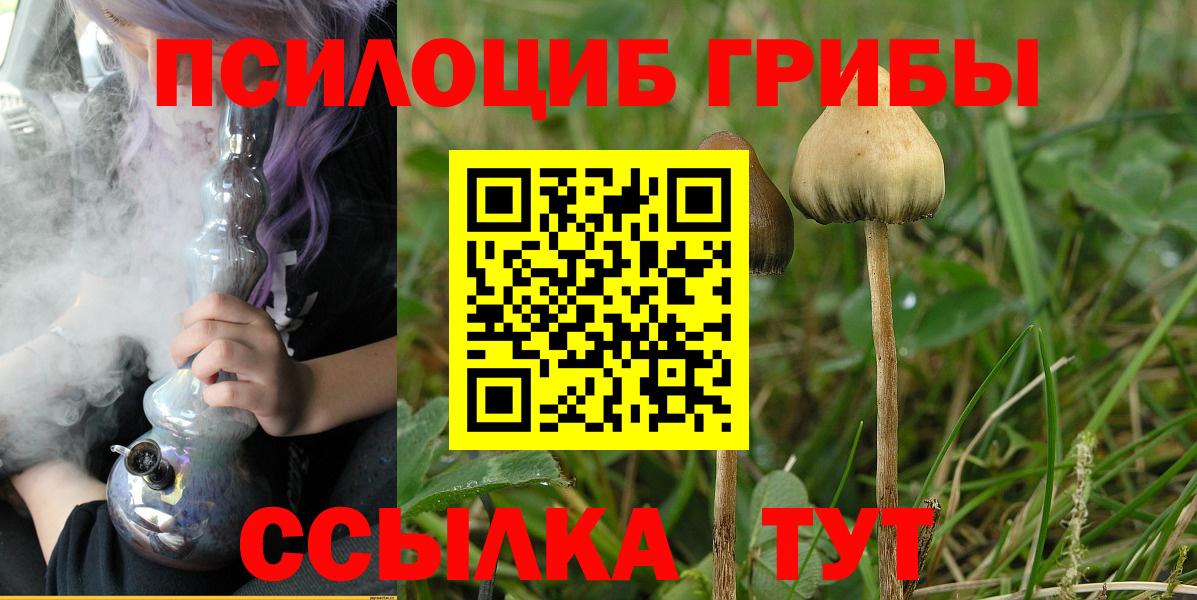 цены   Галлюциногенные грибы Magic Shrooms  Тулун  Вход с VPN  Псилоцибиновые грибы Psilocybe 