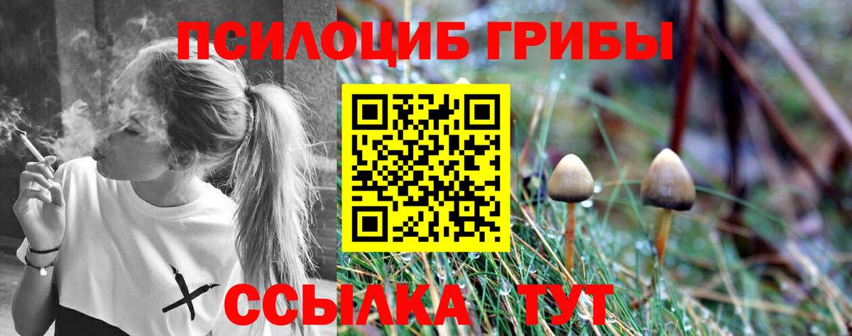 Галлюциногенные грибы ЛСД Тулун